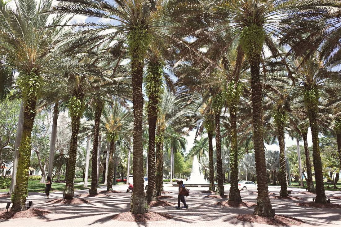 A Miami-Dade neighborhood served by MW Realty Group